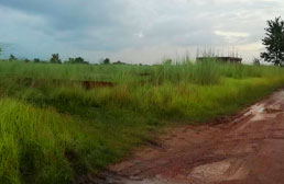 Plot in M Block