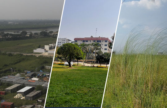 Our Ongoing Land Shared Project in Dhaka