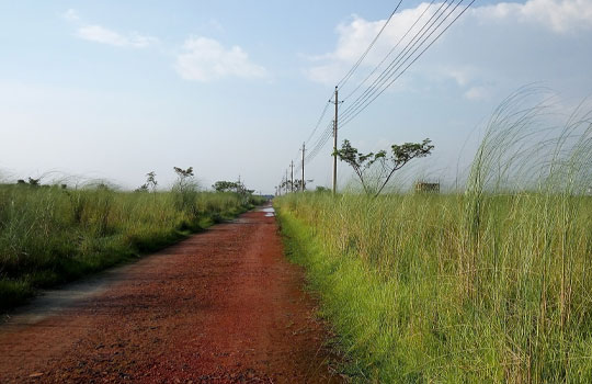 What is the Land Shared Project